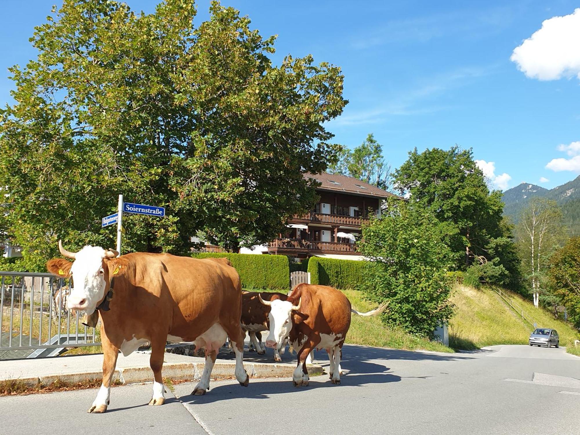 Haus Abendsonne Familie Druxes Lägenhet Krün Exteriör bild